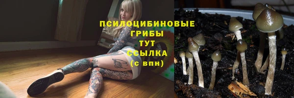 бутират Баксан