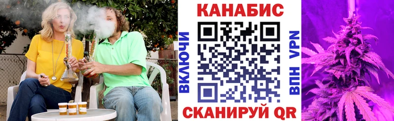Бошки Шишки план Гагарин